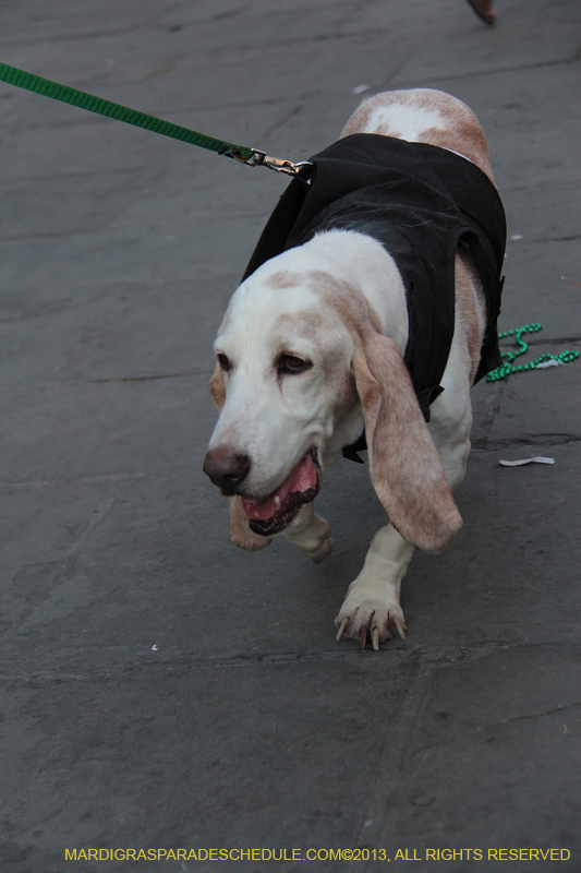 Mystic-Krewe-of-Barkus-2013-1396