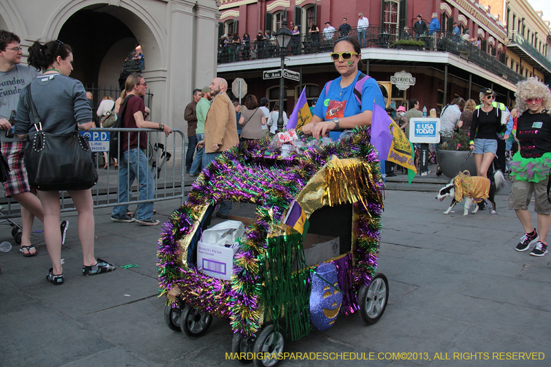 Mystic-Krewe-of-Barkus-2013-1398