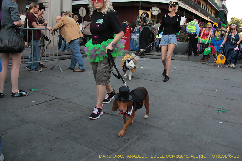 Mystic-Krewe-of-Barkus-2013-1399