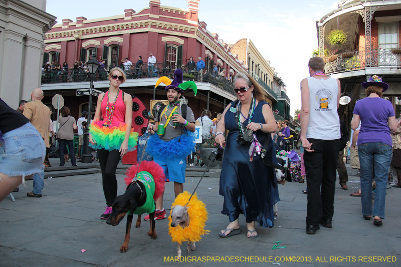 Mystic-Krewe-of-Barkus-2013-1401