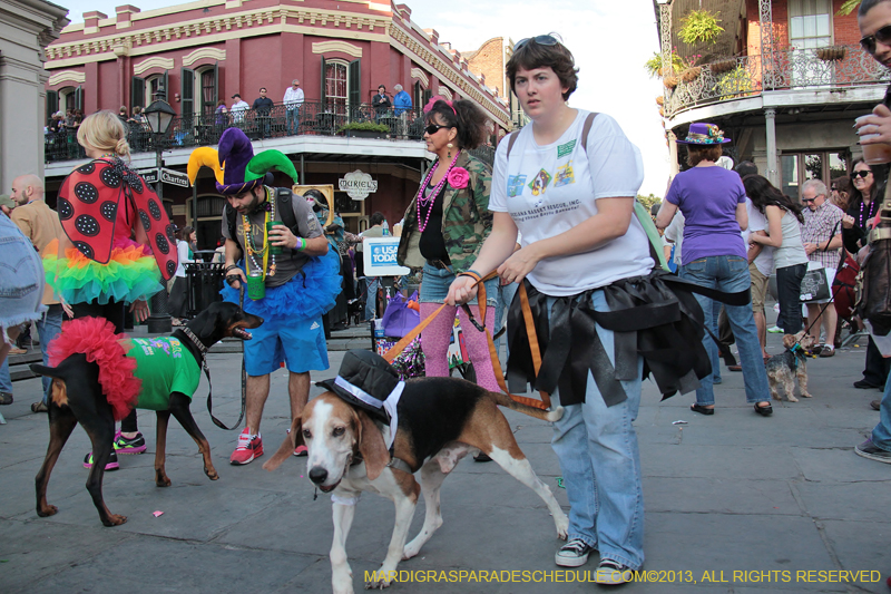 Mystic-Krewe-of-Barkus-2013-1403