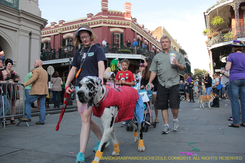 Mystic-Krewe-of-Barkus-2013-1405