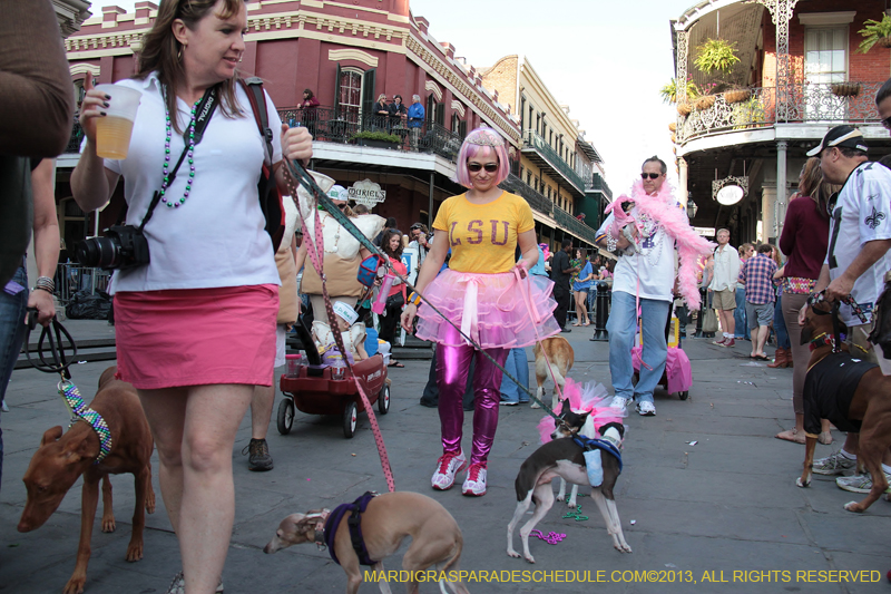 Mystic-Krewe-of-Barkus-2013-1414