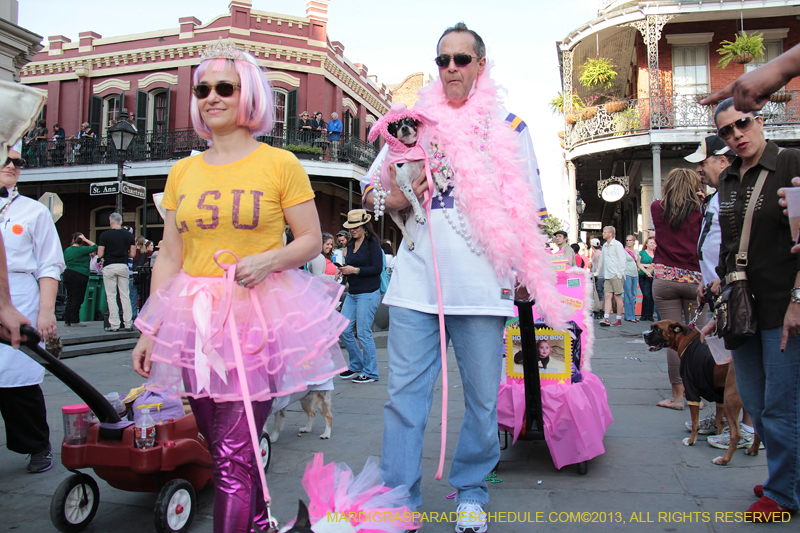 Mystic-Krewe-of-Barkus-2013-1416