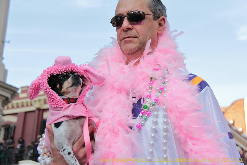 Mystic-Krewe-of-Barkus-2013-1417