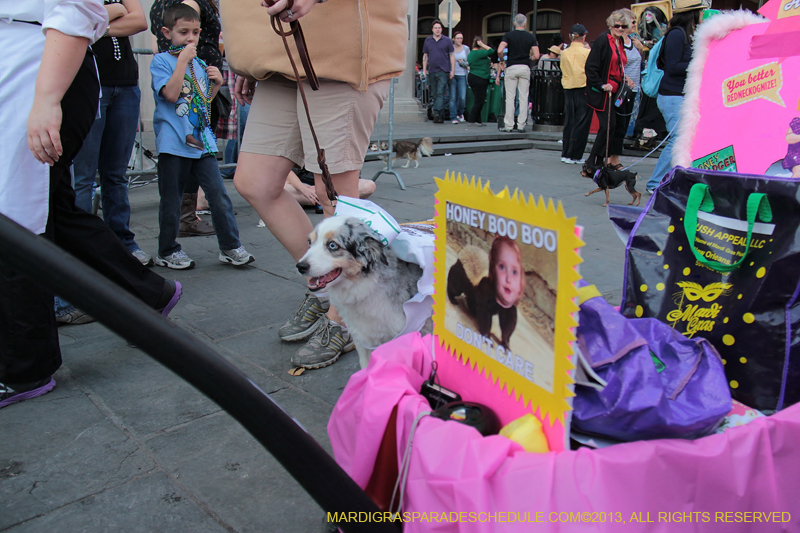 Mystic-Krewe-of-Barkus-2013-1418