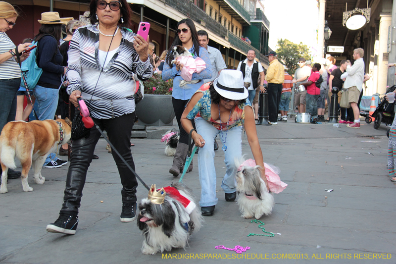 Mystic-Krewe-of-Barkus-2013-1420