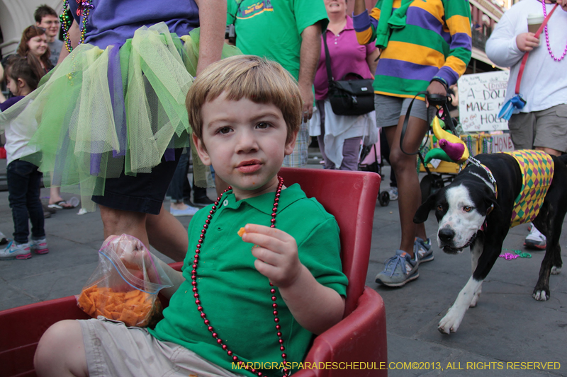 Mystic-Krewe-of-Barkus-2013-1431