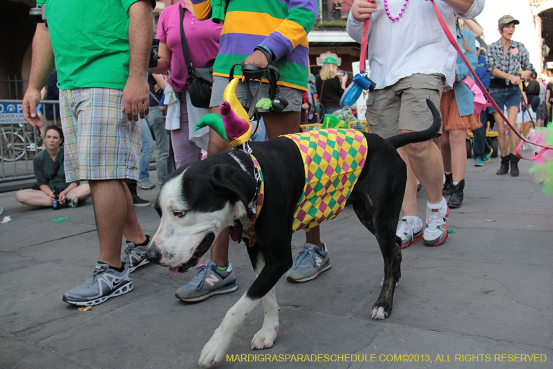 Mystic-Krewe-of-Barkus-2013-1432