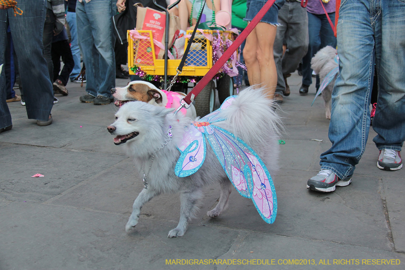 Mystic-Krewe-of-Barkus-2013-1437