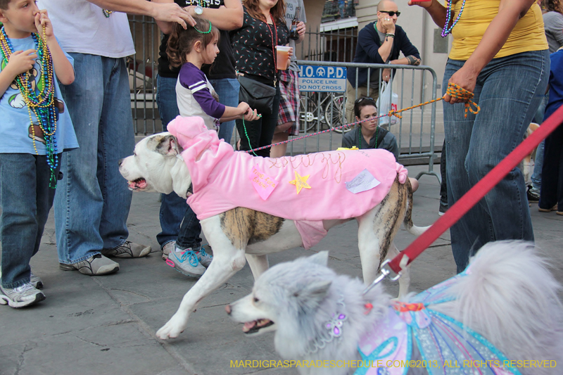 Mystic-Krewe-of-Barkus-2013-1438