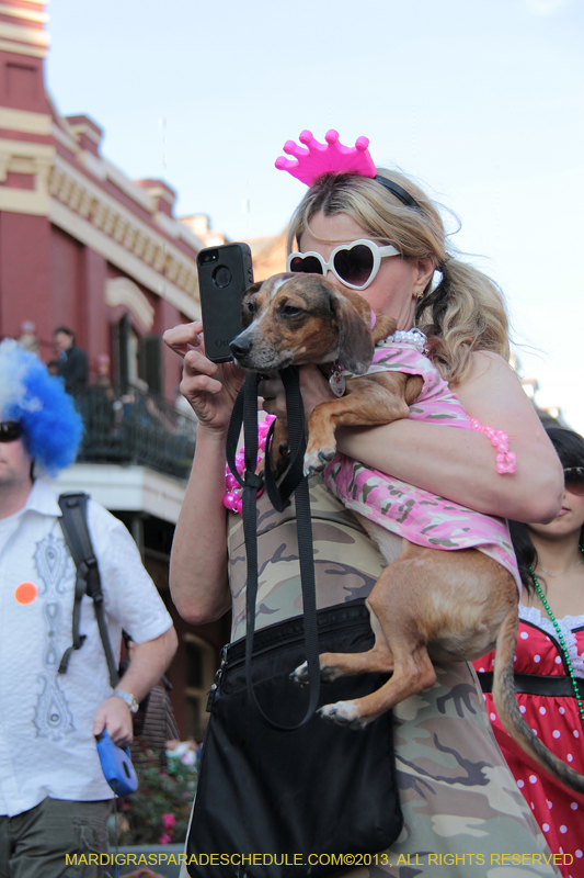 Mystic-Krewe-of-Barkus-2013-1446