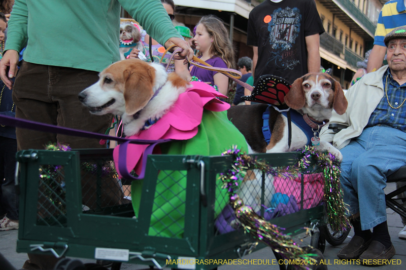 Mystic-Krewe-of-Barkus-2013-1448