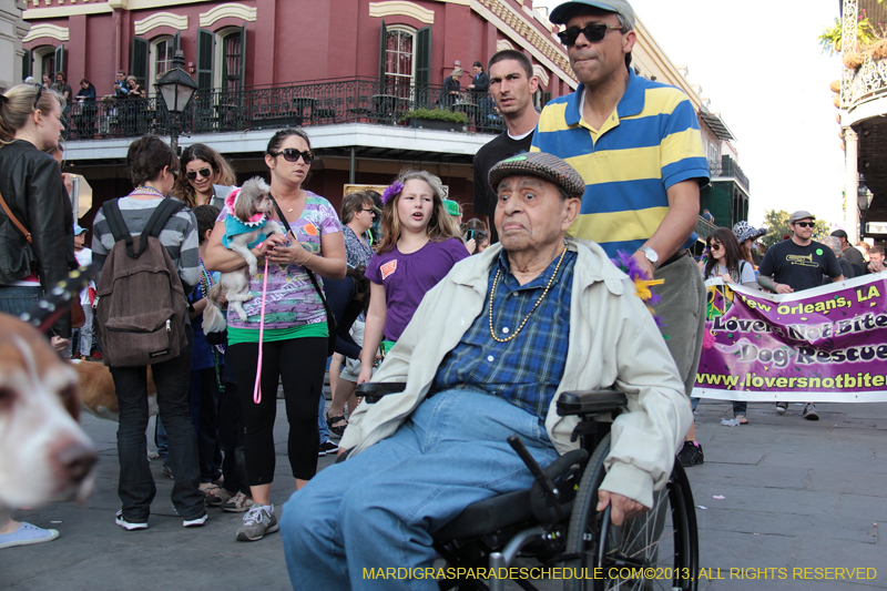 Mystic-Krewe-of-Barkus-2013-1449