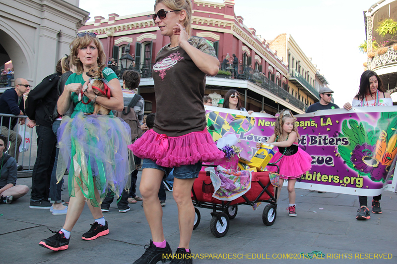 Mystic-Krewe-of-Barkus-2013-1450