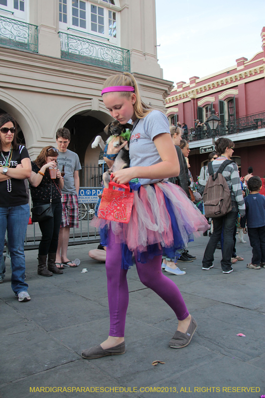 Mystic-Krewe-of-Barkus-2013-1452