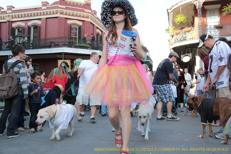 Mystic-Krewe-of-Barkus-2013-1453