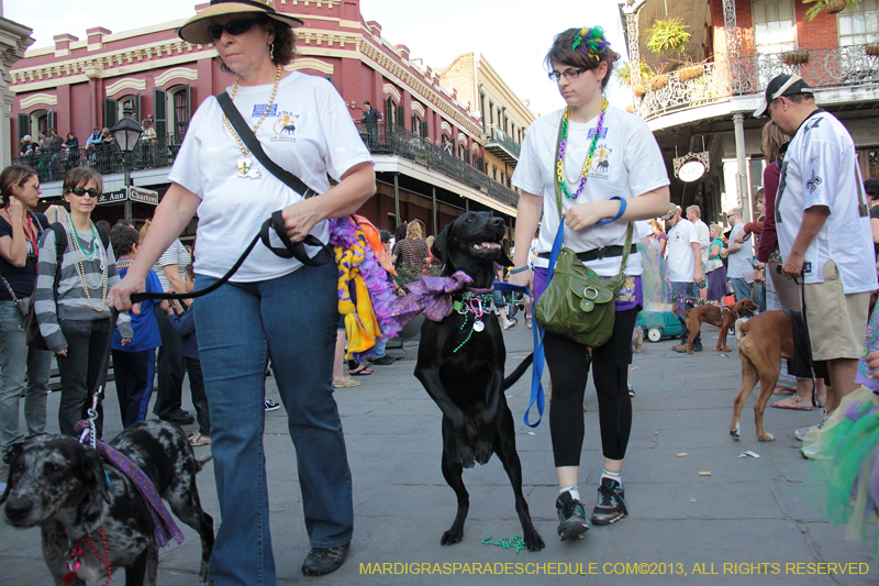 Mystic-Krewe-of-Barkus-2013-1458