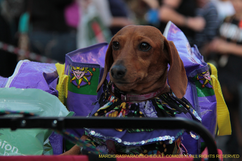 Mystic-Krewe-of-Barkus-2013-1469