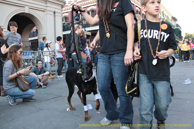 Mystic-Krewe-of-Barkus-2013-1475