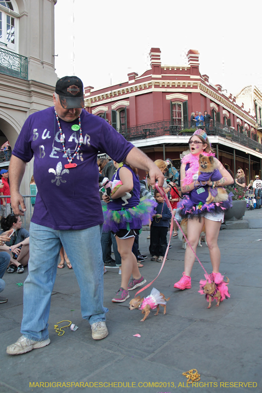 Mystic-Krewe-of-Barkus-2013-1478