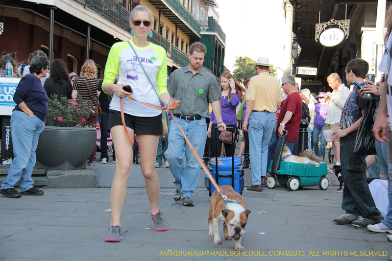 Mystic-Krewe-of-Barkus-2013-1479