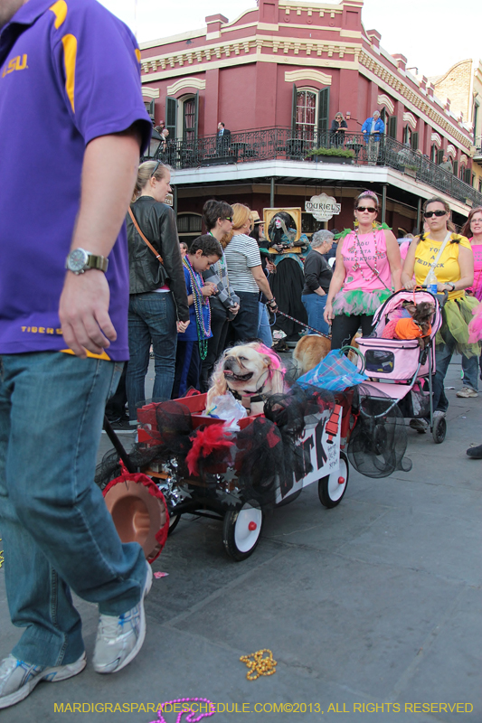 Mystic-Krewe-of-Barkus-2013-1480