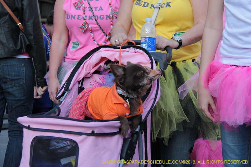 Mystic-Krewe-of-Barkus-2013-1481