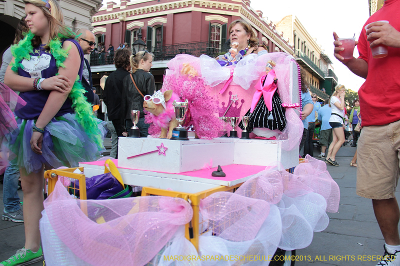 Mystic-Krewe-of-Barkus-2013-1482