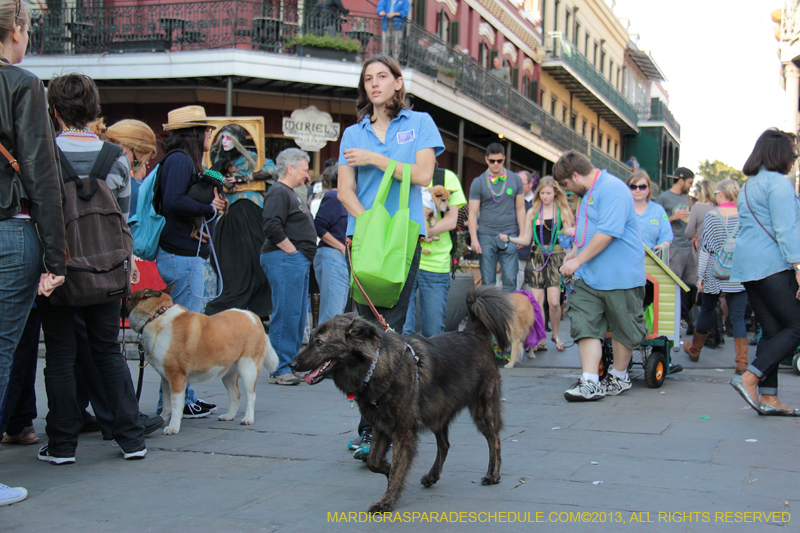 Mystic-Krewe-of-Barkus-2013-1483