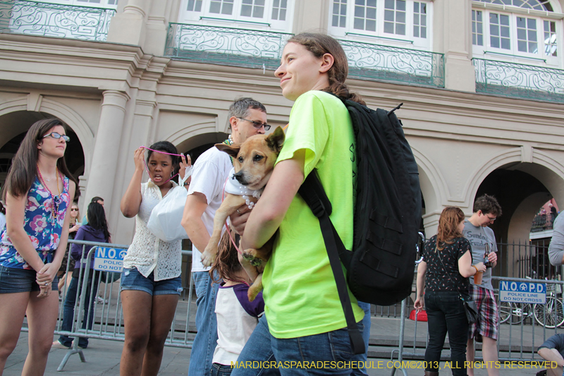 Mystic-Krewe-of-Barkus-2013-1484