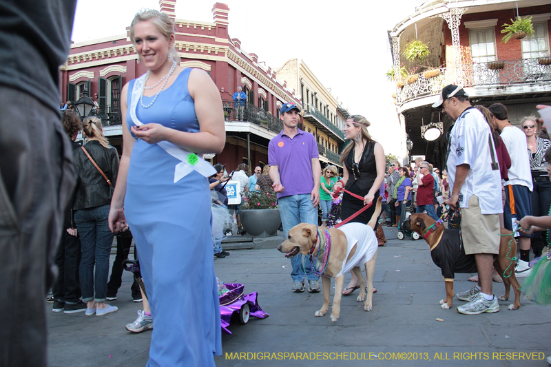 Mystic-Krewe-of-Barkus-2013-1488