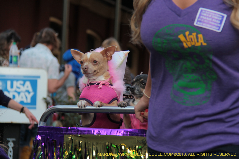 Mystic-Krewe-of-Barkus-2013-1489