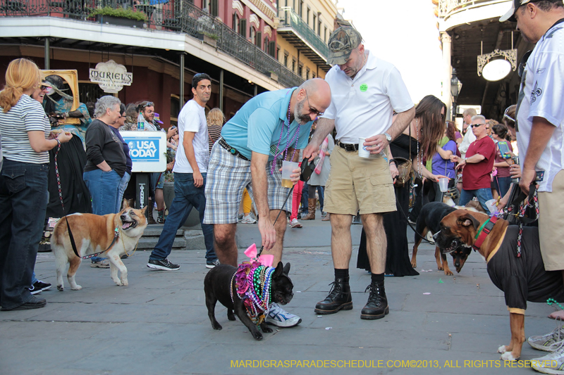 Mystic-Krewe-of-Barkus-2013-1491