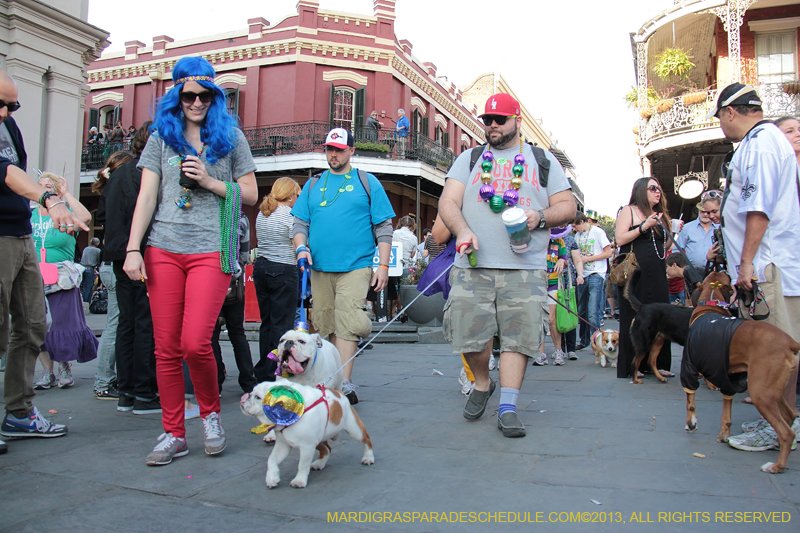 Mystic-Krewe-of-Barkus-2013-1492