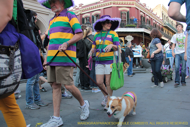 Mystic-Krewe-of-Barkus-2013-1493