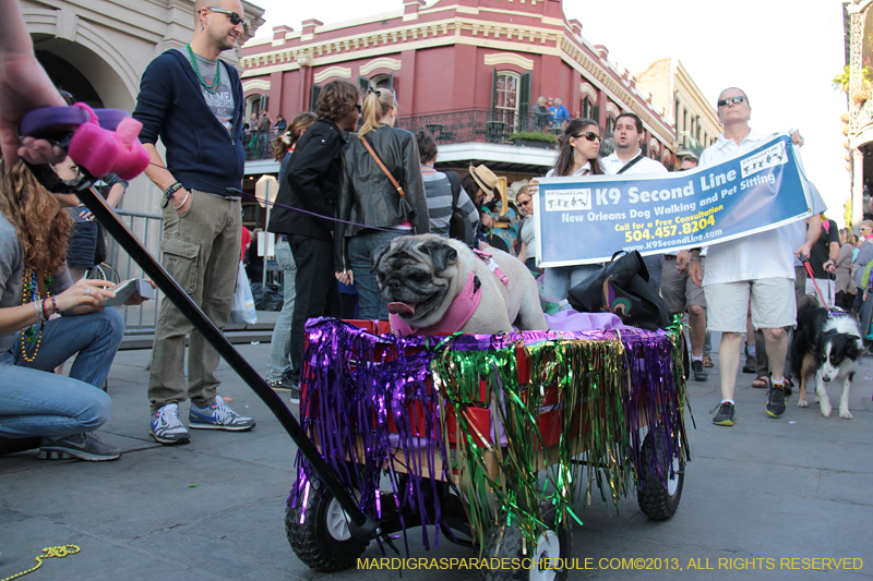 Mystic-Krewe-of-Barkus-2013-1495