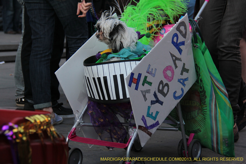 Mystic-Krewe-of-Barkus-2013-1510