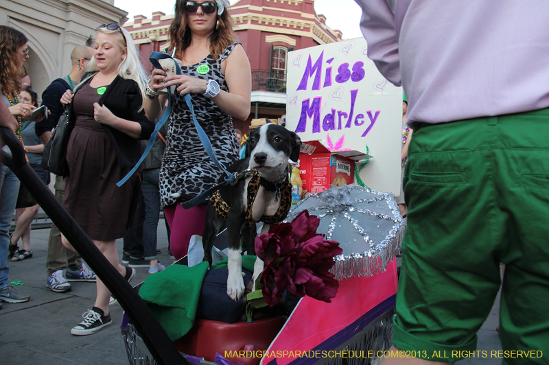 Mystic-Krewe-of-Barkus-2013-1511