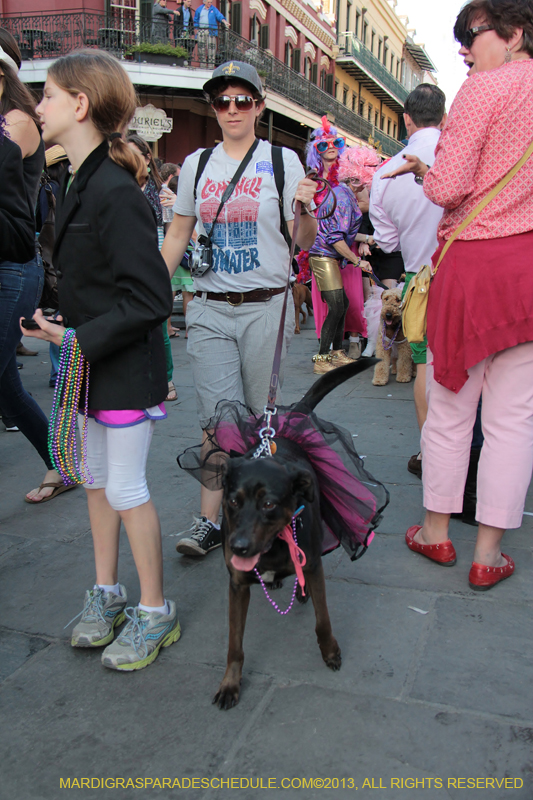 Mystic-Krewe-of-Barkus-2013-1514