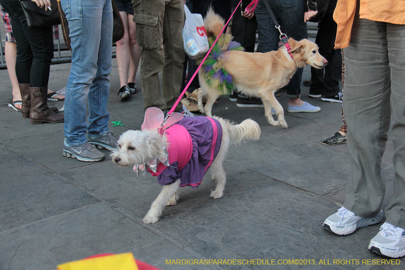 Mystic-Krewe-of-Barkus-2013-1518