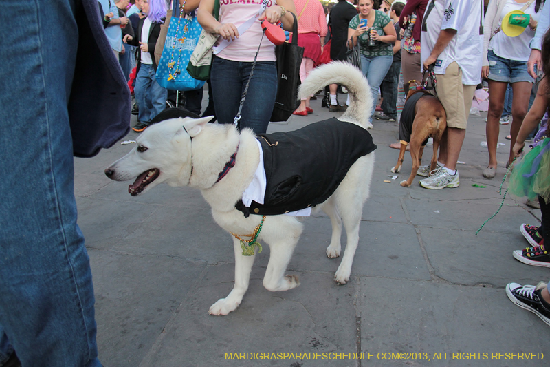 Mystic-Krewe-of-Barkus-2013-1519