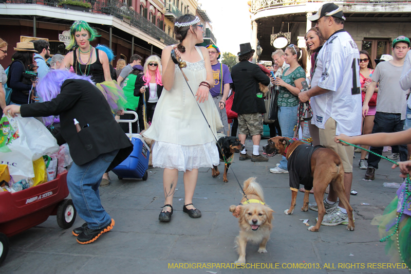 Mystic-Krewe-of-Barkus-2013-1520