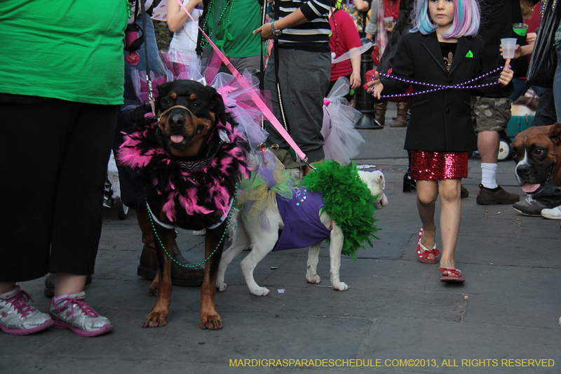 Mystic-Krewe-of-Barkus-2013-1524