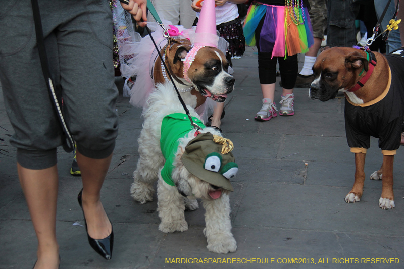 Mystic-Krewe-of-Barkus-2013-1525