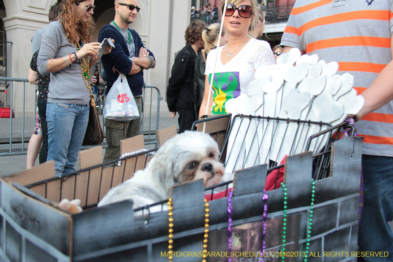 Mystic-Krewe-of-Barkus-2013-1528