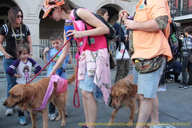 Mystic-Krewe-of-Barkus-2013-1531