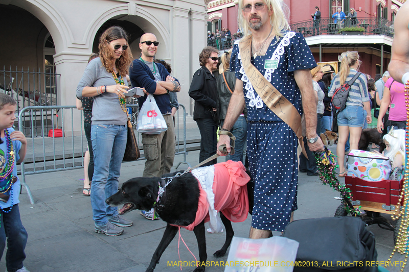 Mystic-Krewe-of-Barkus-2013-1532