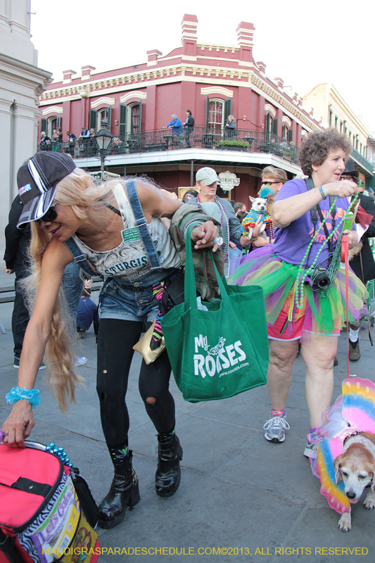 Mystic-Krewe-of-Barkus-2013-1541