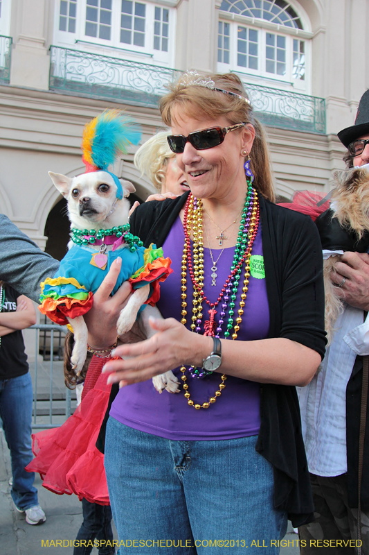 Mystic-Krewe-of-Barkus-2013-1545